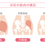 たるんだお尻を引き締める！誰でも手軽にできる筋トレをご紹介