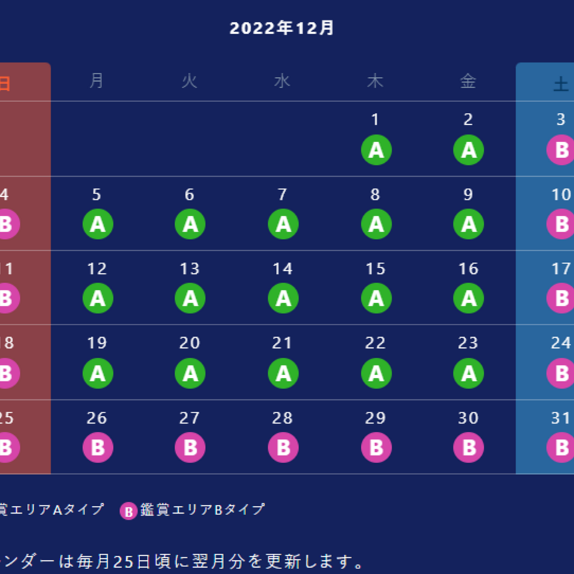 「ビリーヴ！～シー・オブ・ドリームス～」鑑賞方法や鑑賞エリア情報まとめ