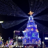 日本との違いは？韓国のクリスマスの過ごし方をご紹介！