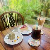 【神戸】SNSで人気のおしゃれ映えカフェまとめ