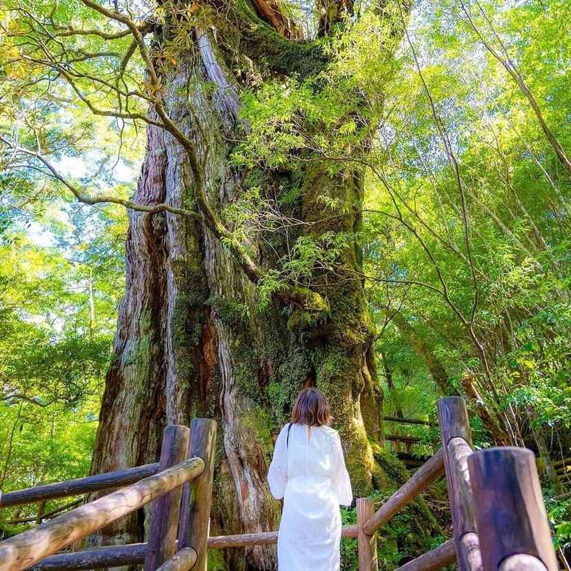 行って良かった！屋久島のおすすめパワースポット☆